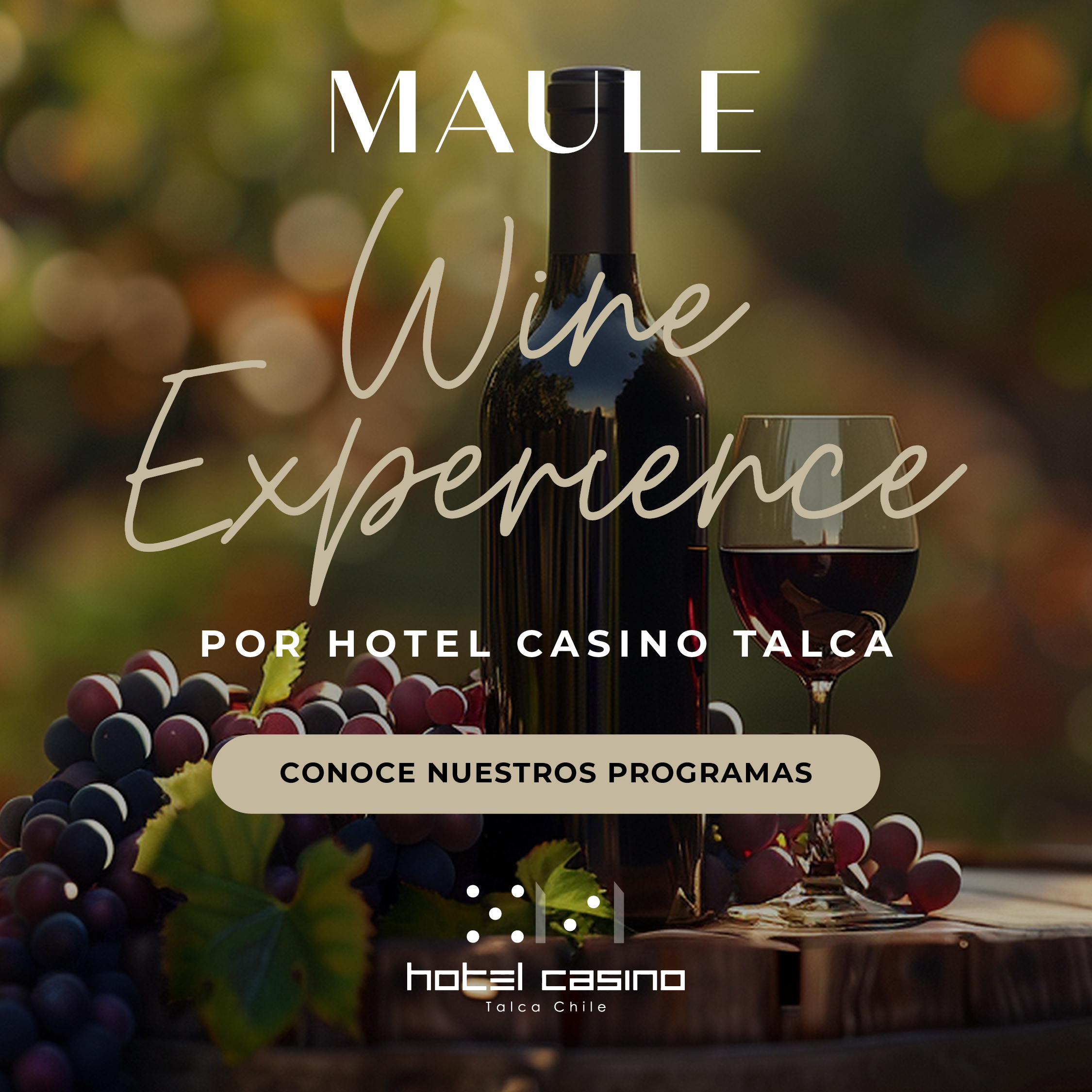 OK_Banners Maule Wine Experience HCT_Junio 25_BANNER 1080x1080