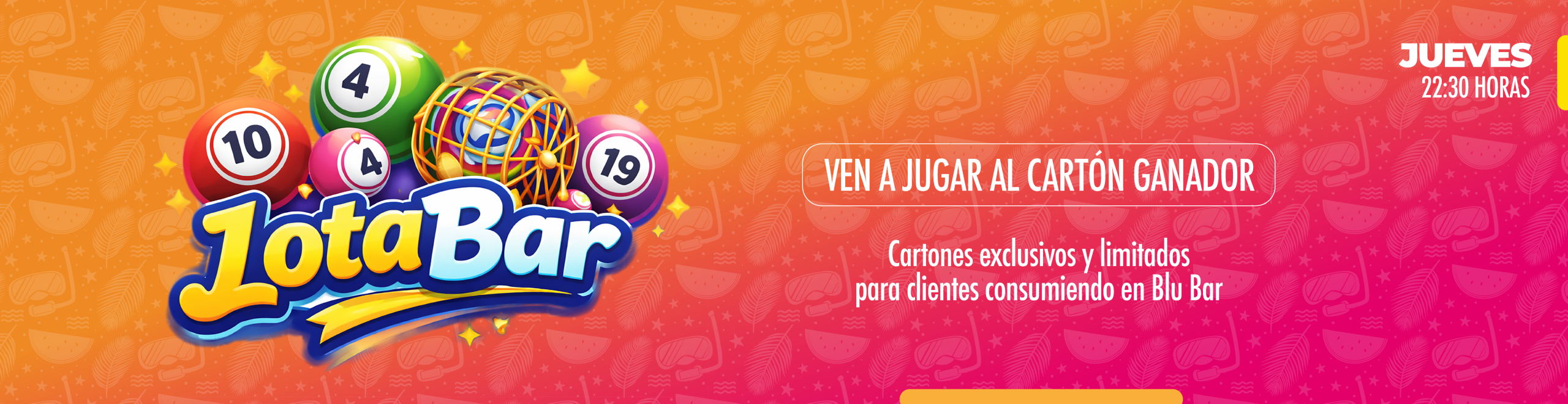 LotaBarFormatos_bannerweb